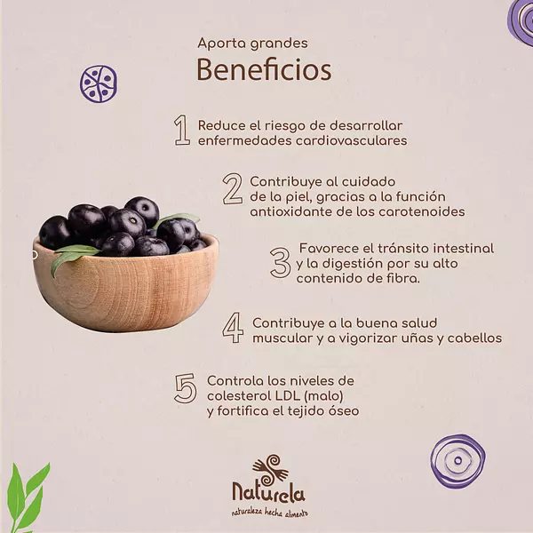 Infusión Frutal Açaí