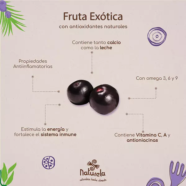 Infusión Frutal Açaí