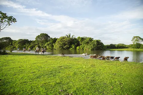 llano