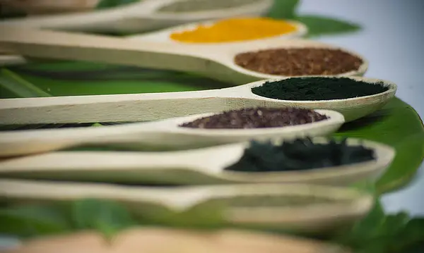 Alimentos Adaptógenos, Conoce sobre ellos